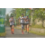 Team 17 / Raid l'Arbre Vert Amazones Bali