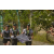 Team 10 / Raid l'Arbre Vert Amazones Bali