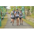 Team 42 / Raid l'Arbre Vert Amazones Bali