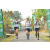 Team 35 / Raid l'Arbre Vert Amazones Bali
