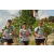 Team 14 / Raid l'Arbre Vert Amazones Bali
