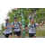 Team 50 / Raid l'Arbre Vert Amazones Bali