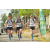 Team 52 / Raid l'Arbre Vert Amazones Bali