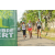 Team 15 / Raid l'Arbre Vert Amazones Bali