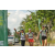 Team 15 / Raid l'Arbre Vert Amazones Bali