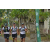 Team 58 / Raid l'Arbre Vert Amazones Bali