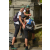 Team 66 / Raid l'Arbre Vert Amazones Bali