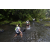 Team 01 / Raid l'Arbre Vert Amazones Bali