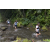 Team 03 / Raid l'Arbre Vert Amazones Bali