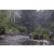 Raid l'Arbre Vert Amazones Bali