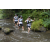 Team 08 / Raid l'Arbre Vert Amazones Bali