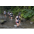 Team 09 / Raid l'Arbre Vert Amazones Bali