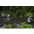 Team 16 / Raid l'Arbre Vert Amazones Bali
