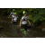 Team 19 / Raid l'Arbre Vert Amazones Bali