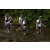 Team 25 / Raid l'Arbre Vert Amazones Bali