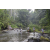 Team 28 / Raid l'Arbre Vert Amazones Bali