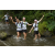 Team 32 / Raid l'Arbre Vert Amazones Bali