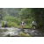 Team 29 / Raid l'Arbre Vert Amazones Bali