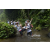 Team 38 / Raid l'Arbre Vert Amazones Bali