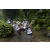 Team 38 / Raid l'Arbre Vert Amazones Bali