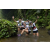 Team 37 / Raid l'Arbre Vert Amazones Bali