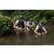 Team 42 / Raid l'Arbre Vert Amazones Bali