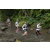 Team 40 / Raid l'Arbre Vert Amazones Bali