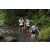 Team 41 / Raid l'Arbre Vert Amazones Bali