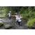 Team 43 / Raid l'Arbre Vert Amazones Bali