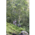 Team 51 / Raid l'Arbre Vert Amazones Bali