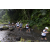 Team 51 / Raid l'Arbre Vert Amazones Bali