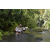 Team 52 / Raid l'Arbre Vert Amazones Bali