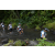 Team 53 / Raid l'Arbre Vert Amazones Bali