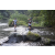 Team 65 / Raid l'Arbre Vert Amazones Bali