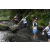 Team 66 / Raid l'Arbre Vert Amazones Bali