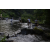 Team 63 / Raid l'Arbre Vert Amazones Bali