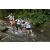 Team 67 / Raid l'Arbre Vert Amazones Bali