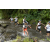 Team 69 / Raid l'Arbre Vert Amazones Bali