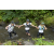 Team 64 / Raid l'Arbre Vert Amazones Bali
