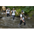 Team 60 / Raid l'Arbre Vert Amazones Bali