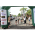 Team 21 / Raid l'Arbre Vert Amazones Bali