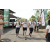 Team 16 / Raid l'Arbre Vert Amazones Bali