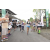 Team 66 / Raid l'Arbre Vert Amazones Bali