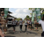 Team 30 / Raid l'Arbre Vert Amazones Bali