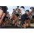 Team 15 / Raid l'Arbre Vert Amazones Bali