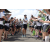 Team 56 / Raid l'Arbre Vert Amazones Bali