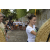 Raid l'Arbre Vert Amazones Bali