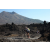 Team 21 / Raid l'Arbre Vert Amazones Bali - Triathlon