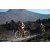 Team 65 / Raid l'Arbre Vert Amazones Bali - Triathlon