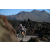 Team 20 / Raid l'Arbre Vert Amazones Bali - Triathlon